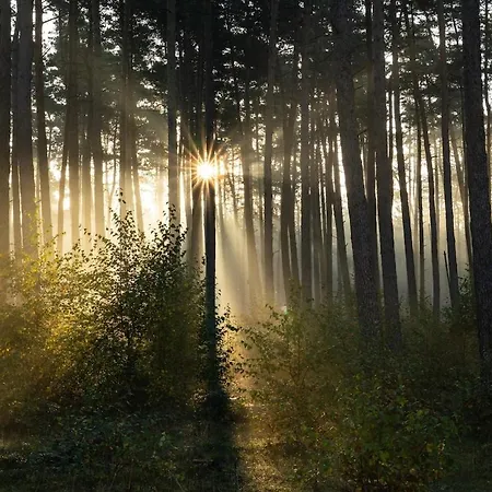 Altes Zollhaus Teutoburger Wald *