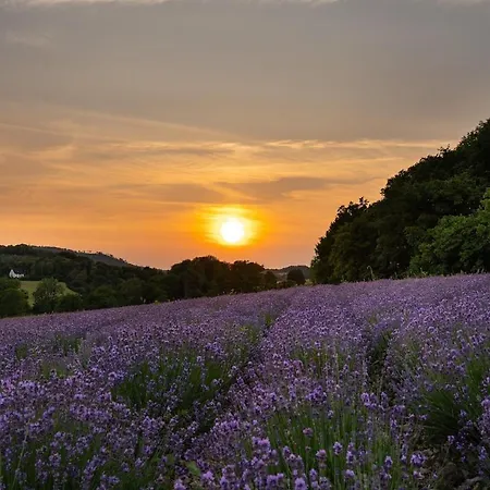 Semesterbostad Altes Zollhaus Teutoburger Wald Horn-Bad Meinberg