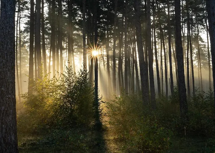 Altes Zollhaus Teutoburger Wald *