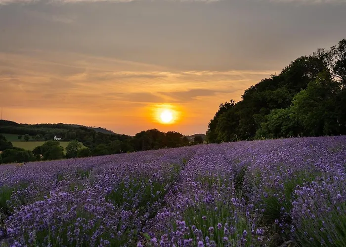 Nyaraló Altes Zollhaus Teutoburger Wald Horn-Bad Meinberg